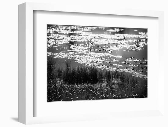 The Pond in Black and White-Ursula Abresch-Framed Photographic Print