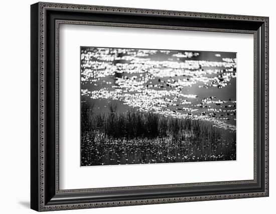 The Pond in Black and White-Ursula Abresch-Framed Photographic Print