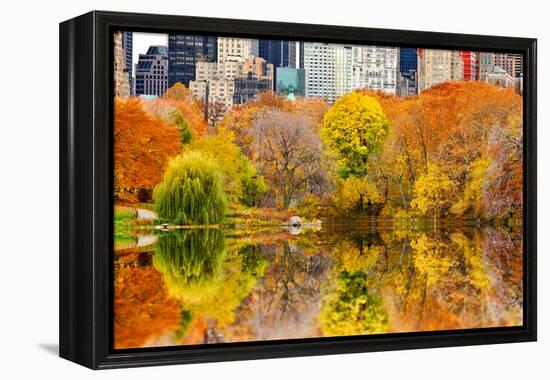 The Pond in Central Park, Manhattan, New York City-Sabine Jacobs-Framed Premier Image Canvas