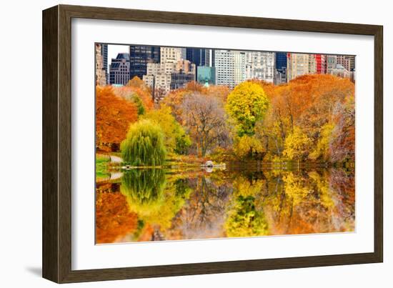 The Pond in Central Park, Manhattan, New York City-Sabine Jacobs-Framed Photographic Print