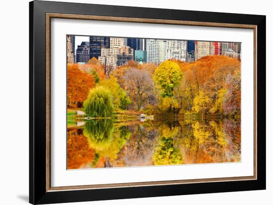 The Pond in Central Park, Manhattan, New York City-Sabine Jacobs-Framed Photographic Print