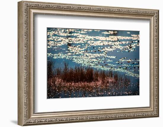 The Pond-Ursula Abresch-Framed Photographic Print