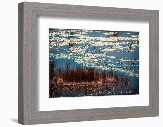 The Pond-Ursula Abresch-Framed Photographic Print