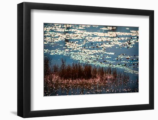 The Pond-Ursula Abresch-Framed Photographic Print