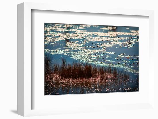 The Pond-Ursula Abresch-Framed Photographic Print
