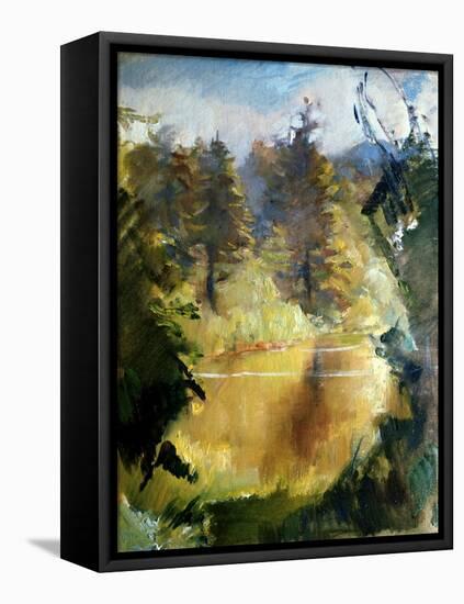 The Pond-Alice Kent Stoddard-Framed Premier Image Canvas