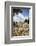 The Pool of Bethesda, the Ruins of the Byzantine Church, Jerusalem, Israel, Middle East-Yadid Levy-Framed Photographic Print