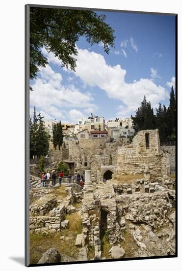 The Pool of Bethesda, the Ruins of the Byzantine Church, Jerusalem, Israel, Middle East-Yadid Levy-Mounted Photographic Print