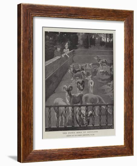 The Pope's Herd of Mouflons-Harry Hamilton Johnston-Framed Giclee Print