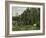 The Poplars, c.1879-82-Paul Cézanne-Framed Giclee Print