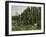 The Poplars, c.1879-82-Paul Cézanne-Framed Giclee Print