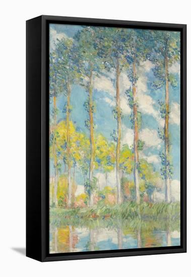 The Poplars; Les Peupliers, 1891-Claude Monet-Framed Premier Image Canvas