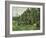 The Poplars (Les Peupliers)-Paul C?zanne-Framed Art Print