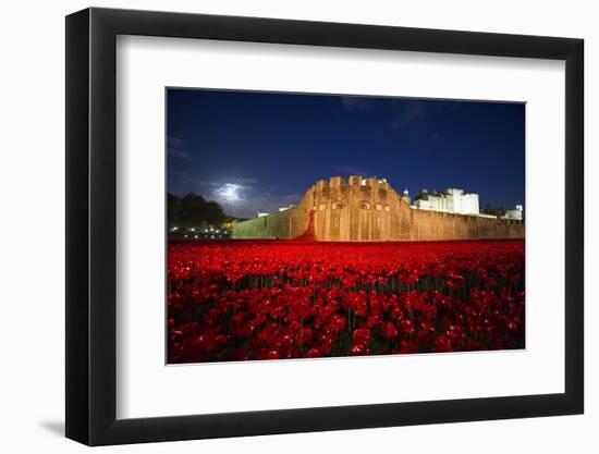 The poppy installation at the Tower of London-Associated Newspapers-Framed Photo