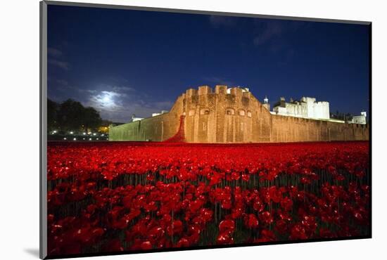 The poppy installation at the Tower of London-Associated Newspapers-Mounted Photo