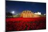 The poppy installation at the Tower of London-Associated Newspapers-Mounted Photo