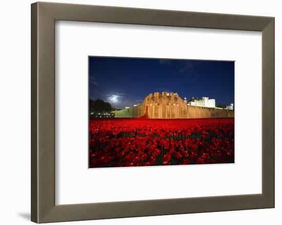 The poppy installation at the Tower of London-Associated Newspapers-Framed Photo