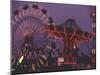 The Popular Midway Section of the New York State Fair-Michael Okoniewski-Mounted Photographic Print