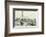 The Port at Touques-Claude Monet-Framed Premium Giclee Print