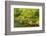 The Portland Japanese Garden, Washington Park in the west hills of Portland, Oregon-Adam Jones-Framed Photographic Print