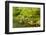 The Portland Japanese Garden, Washington Park in the west hills of Portland, Oregon-Adam Jones-Framed Photographic Print