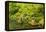 The Portland Japanese Garden, Washington Park in the west hills of Portland, Oregon-Adam Jones-Framed Premier Image Canvas