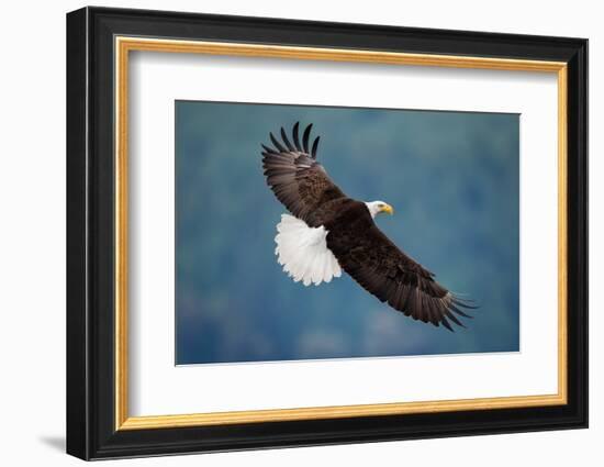 The Pose-David H Yang-Framed Photographic Print