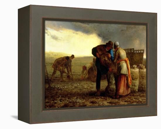 The Potato Harvest, 1855-Jean-François Millet-Framed Premier Image Canvas