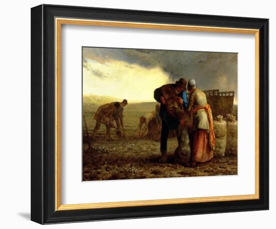 The Potato Harvest, 1855-Jean-François Millet-Framed Giclee Print