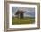 The Poulnabrone dolmen, prehistoric slab burial chamber, The Burren, County Clare, Munster, Republi-Nigel Hicks-Framed Photographic Print