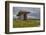 The Poulnabrone dolmen, prehistoric slab burial chamber, The Burren, County Clare, Munster, Republi-Nigel Hicks-Framed Photographic Print