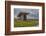 The Poulnabrone dolmen, prehistoric slab burial chamber, The Burren, County Clare, Munster, Republi-Nigel Hicks-Framed Photographic Print