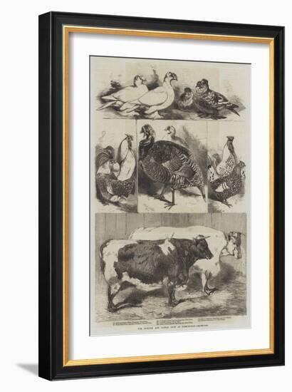 The Poultry and Cattle Show at Birmingham-Harrison William Weir-Framed Giclee Print