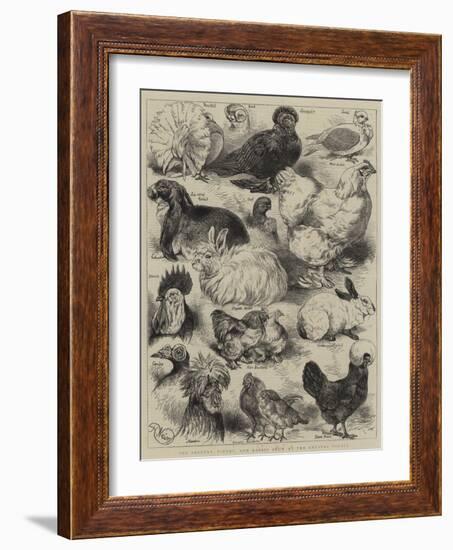 The Poultry, Pigeon, and Rabbit Show at the Crystal Palace-Harrison William Weir-Framed Giclee Print