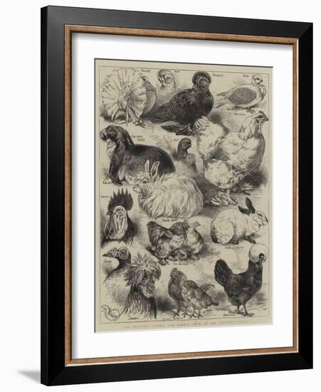 The Poultry, Pigeon, and Rabbit Show at the Crystal Palace-Harrison William Weir-Framed Giclee Print