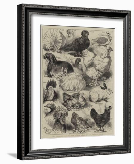 The Poultry, Pigeon, and Rabbit Show at the Crystal Palace-Harrison William Weir-Framed Giclee Print