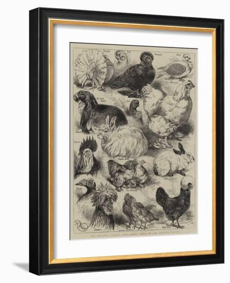 The Poultry, Pigeon, and Rabbit Show at the Crystal Palace-Harrison William Weir-Framed Giclee Print