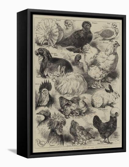 The Poultry, Pigeon, and Rabbit Show at the Crystal Palace-Harrison William Weir-Framed Premier Image Canvas