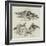 The Poultry Show at Birmingham, Ornamental Water-Fowl-null-Framed Giclee Print