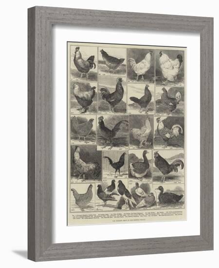 The Poultry Show at the Crystal Palace-Alfred Courbould-Framed Giclee Print