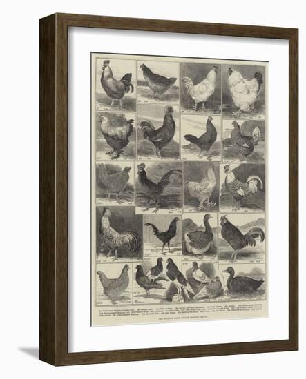 The Poultry Show at the Crystal Palace-Alfred Courbould-Framed Giclee Print