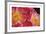 The Power of Petals-Irene Suchocki-Framed Limited Edition