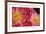 The Power of Petals-Irene Suchocki-Framed Limited Edition