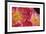 The Power of Petals-Irene Suchocki-Framed Limited Edition