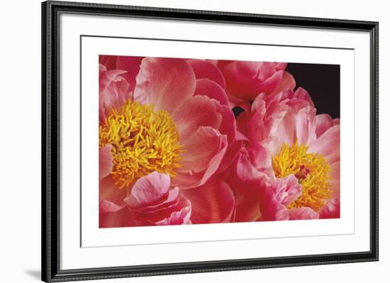 The Power of Petals-Irene Suchocki-Framed Limited Edition