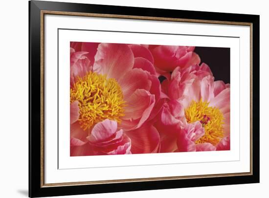 The Power of Petals-Irene Suchocki-Framed Limited Edition