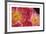 The Power of Petals-Irene Suchocki-Framed Limited Edition