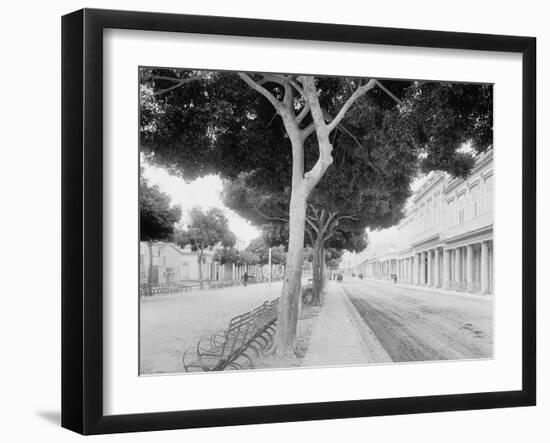 The Prado, Havana-null-Framed Photo