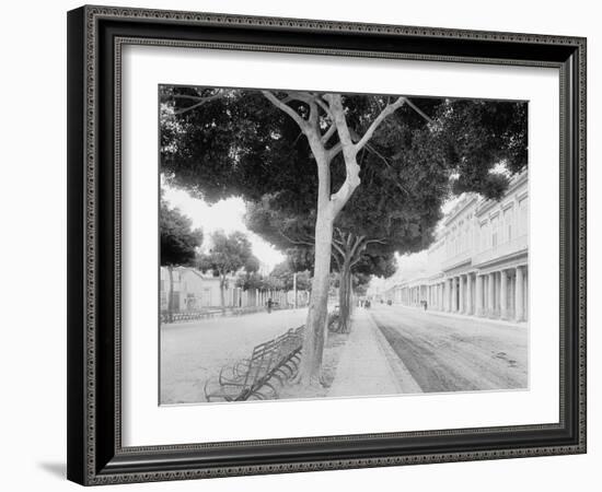 The Prado, Havana-null-Framed Photo