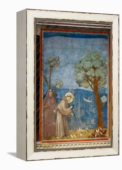 The Preaching To the Birds-Giotto di Bondone-Framed Premier Image Canvas